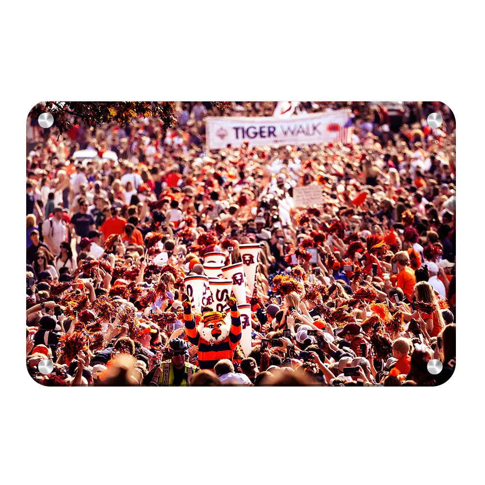 Auburn Tigers - Vintage Tiger Walk