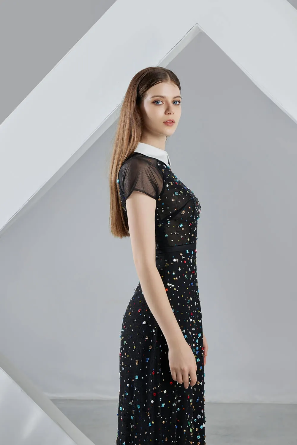 Christina A-line Short Sleeved Mesh Sheer Midi Dress