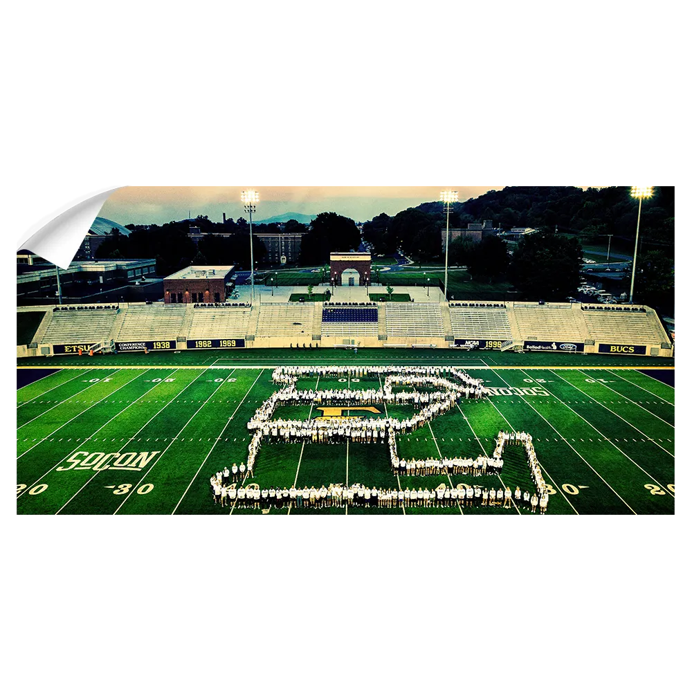 ETSU - Buccaneer Family Photo Panoramic