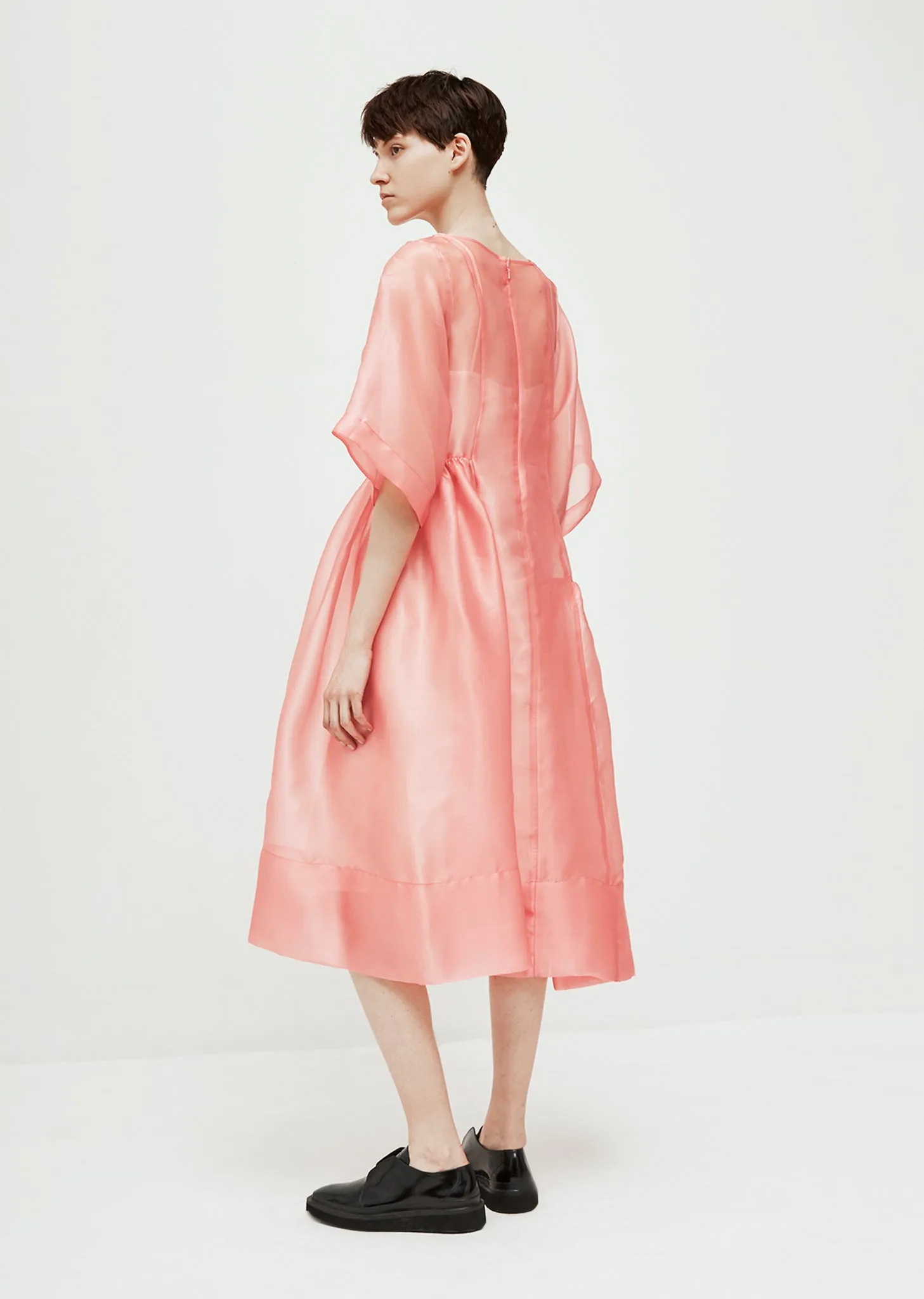 Laurelai Sheer Silk Dress