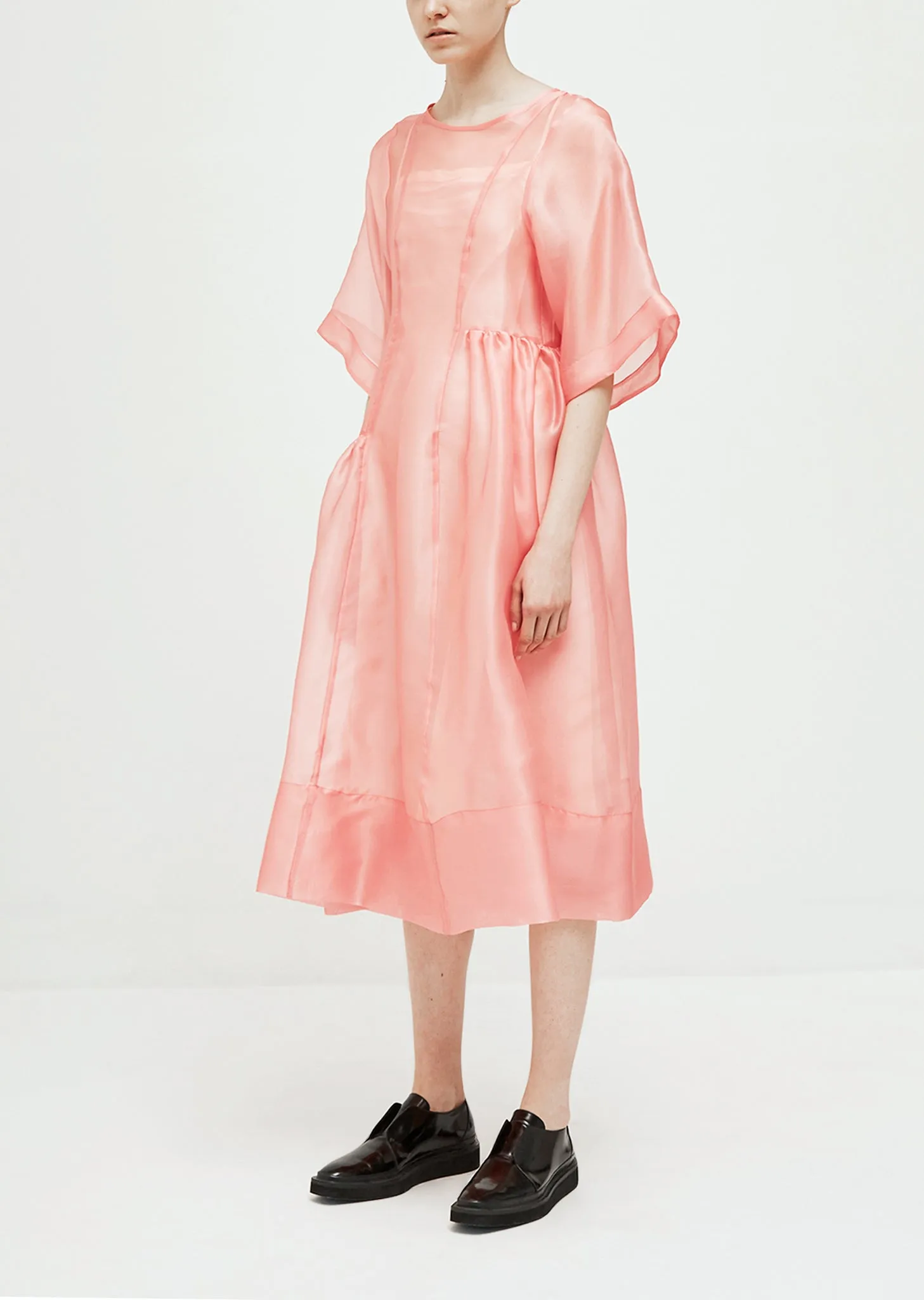 Laurelai Sheer Silk Dress