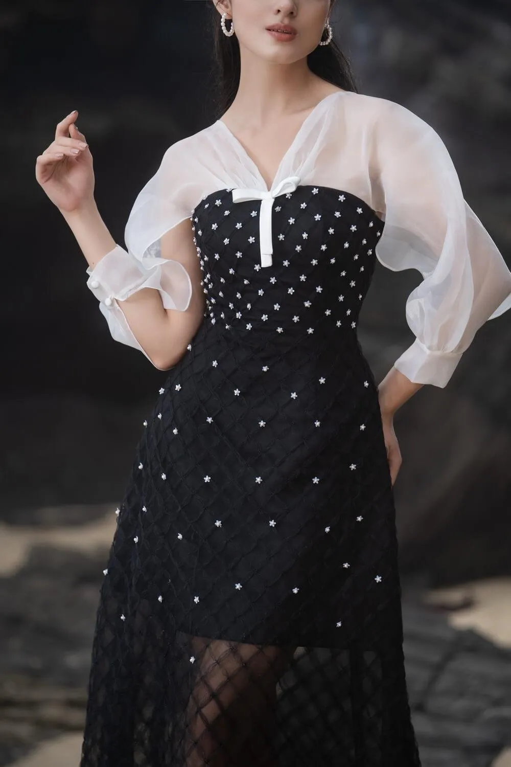 Priya A-line See-Through Mesh Sheer Midi Dress